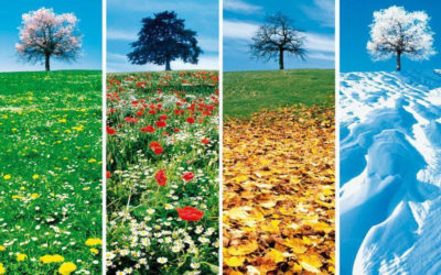 Danser au rythme des saisons