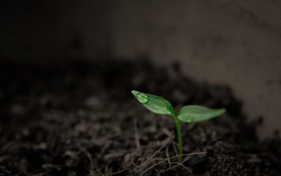 Grandir à travers l&rsquo;épreuve